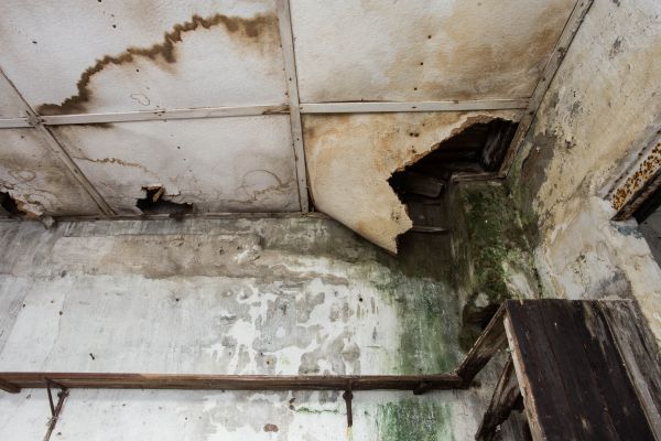 Water Damage Service in Zionsville
