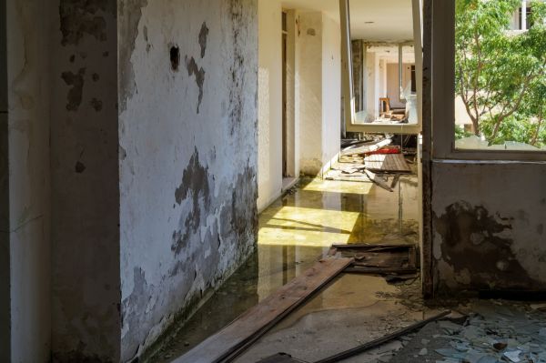 Water Removal Service in Zionsville