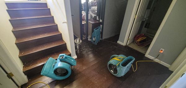 Water Damage Remediation in Zionsville