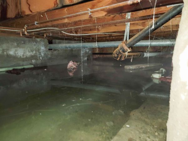 Cost of Water Mitigation Service in Zionsville