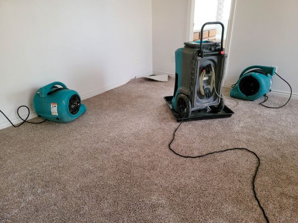 Water Damage Repair in Zionsville